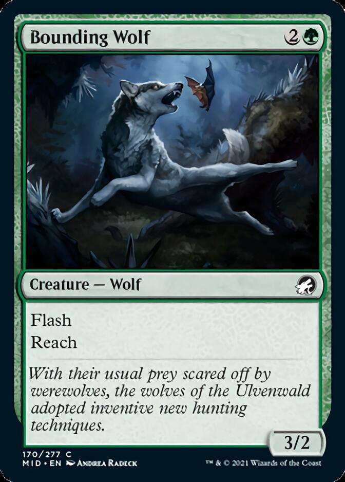 Bounding Wolf [Innistrad: Midnight Hunt] | Gear Gaming Fayetteville