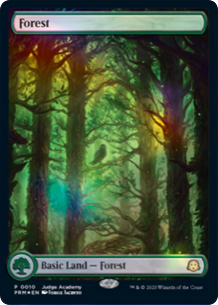 Forest [Judge Gift Cards 2023] | Gear Gaming Fayetteville