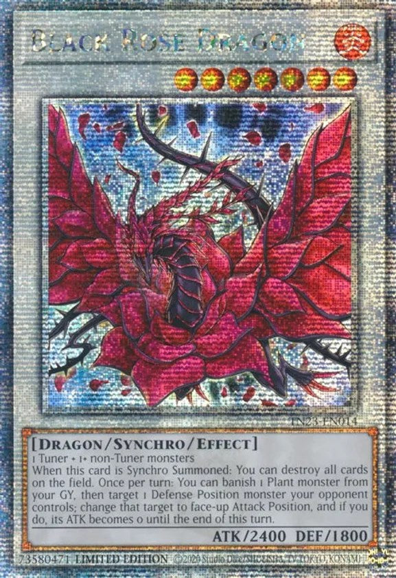 Black Rose Dragon [TN23-EN014] Quarter Century Secret Rare | Gear Gaming Fayetteville