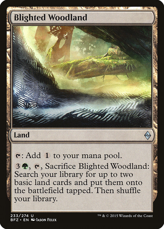 Blighted Woodland [Battle for Zendikar] | Gear Gaming Fayetteville