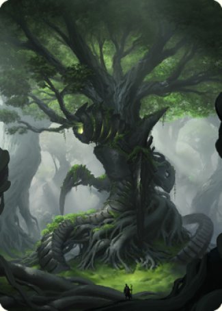 Forest Art Card [The Brothers' War Art Series] | Gear Gaming Fayetteville