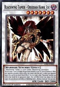 Blackwing Tamer - Obsidian Hawk Joe [LDS2-EN042] Common | Gear Gaming Fayetteville