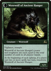 Sage of Ancient Lore // Werewolf of Ancient Hunger [Shadows over Innistrad Prerelease Promos] | Gear Gaming Fayetteville