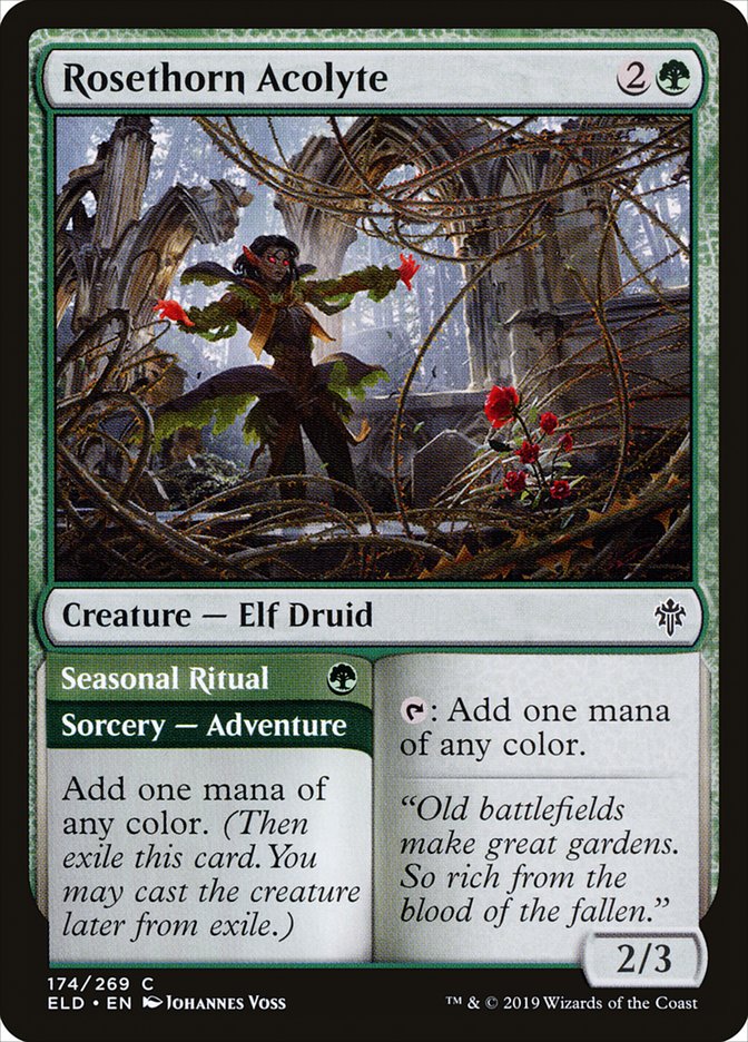 Rosethorn Acolyte // Seasonal Ritual [Throne of Eldraine] | Gear Gaming Fayetteville