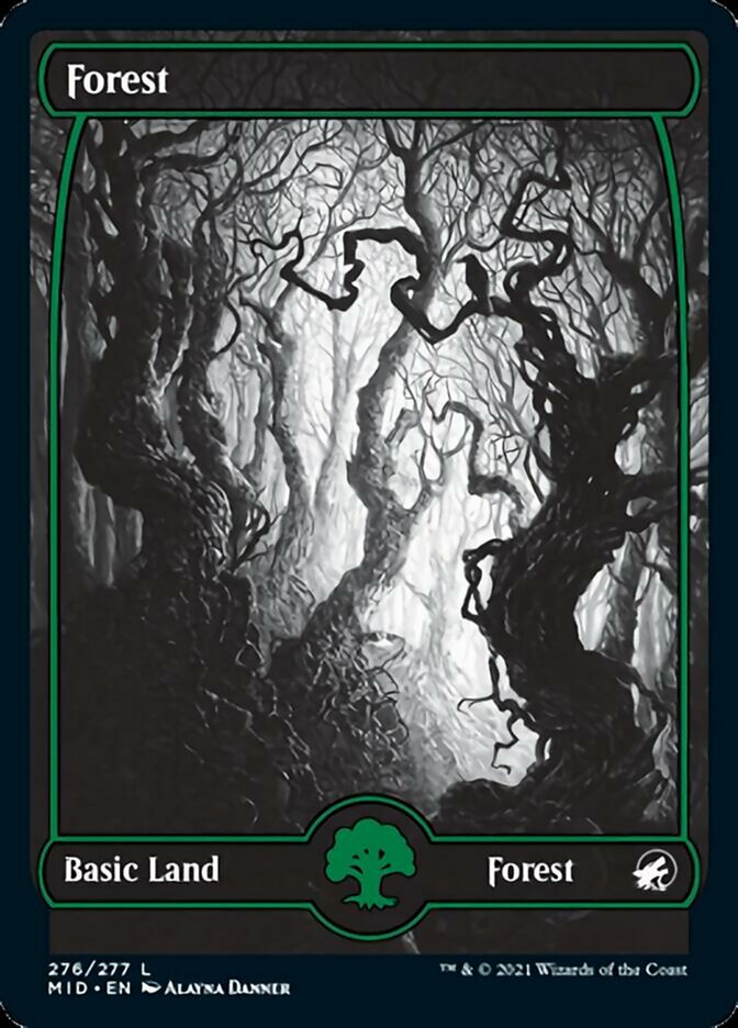 Forest (276) [Innistrad: Midnight Hunt] | Gear Gaming Fayetteville