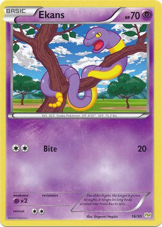 Ekans (16/30) [XY: Trainer Kit - Noivern] | Gear Gaming Fayetteville