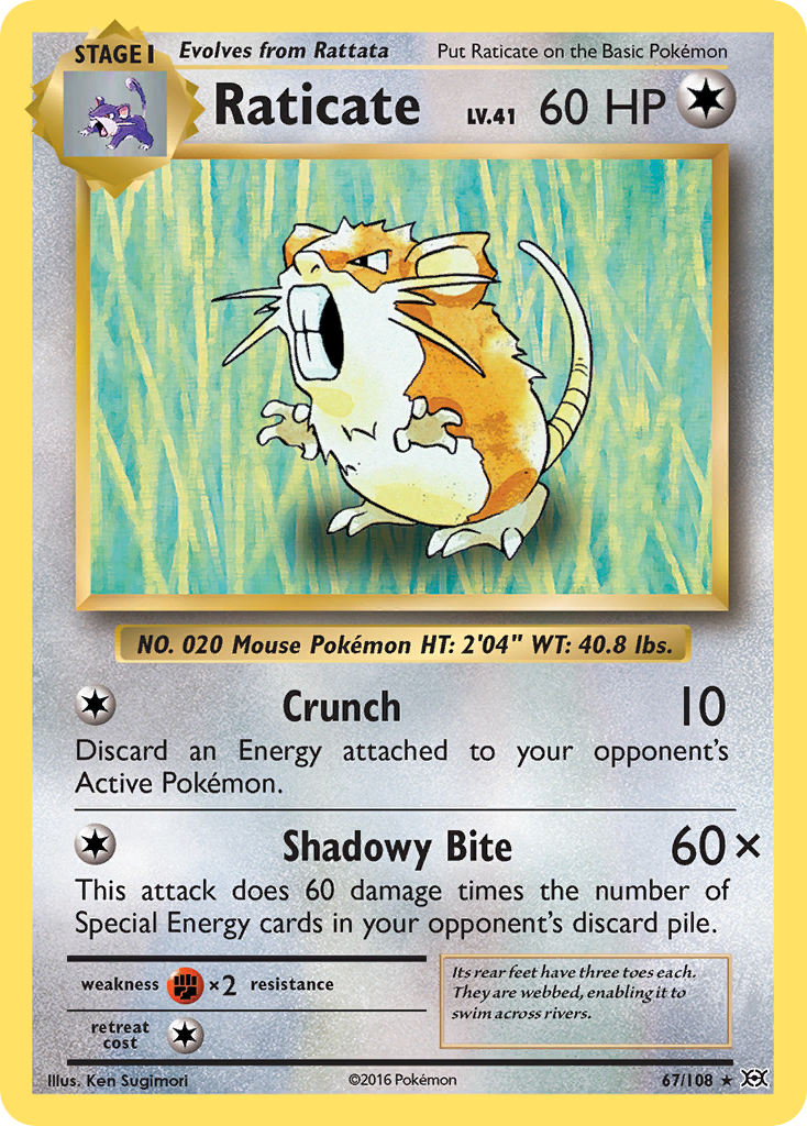 Raticate (67/108) [XY: Evolutions] | Gear Gaming Fayetteville