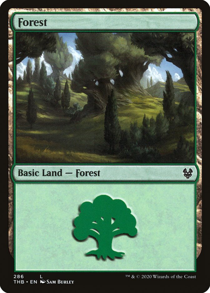 Forest (286) [Theros Beyond Death] | Gear Gaming Fayetteville