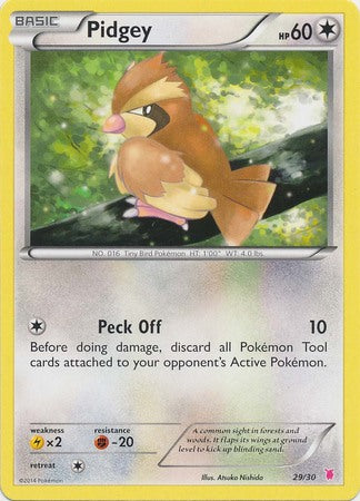 Pidgey (29/30) [XY: Trainer Kit 1 - Wigglytuff] | Gear Gaming Fayetteville