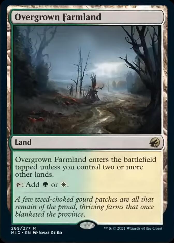 Overgrown Farmland [Innistrad: Midnight Hunt] | Gear Gaming Fayetteville