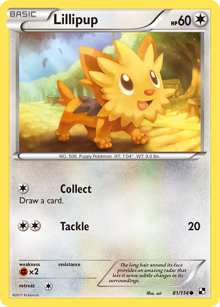 Lillipup (81/114) [Black & White: Base Set] | Gear Gaming Fayetteville