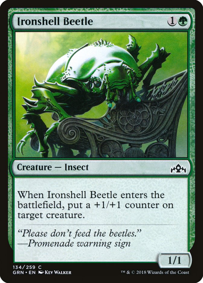 Ironshell Beetle [Guilds of Ravnica] | Gear Gaming Fayetteville