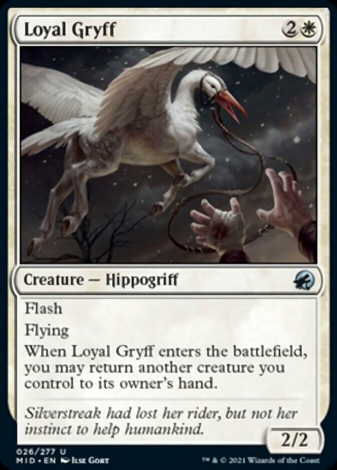 Loyal Gryff [Innistrad: Midnight Hunt] | Gear Gaming Fayetteville