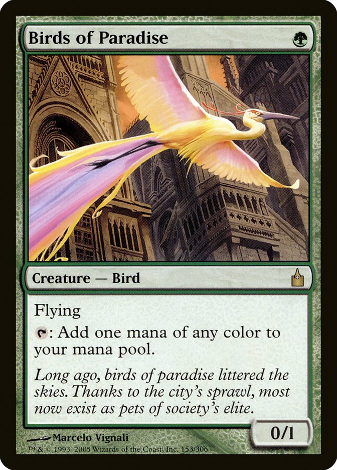 Birds of Paradise [Ravnica: City of Guilds] | Gear Gaming Fayetteville