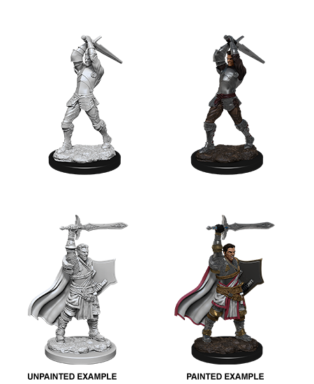 D&D Nolzur’s Marvelous Miniatures – Male Human Paladin | Gear Gaming Fayetteville