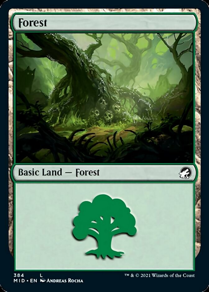 Forest (384) [Innistrad: Midnight Hunt] | Gear Gaming Fayetteville