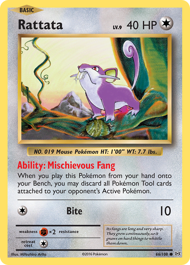 Rattata (66/108) [XY: Evolutions] | Gear Gaming Fayetteville