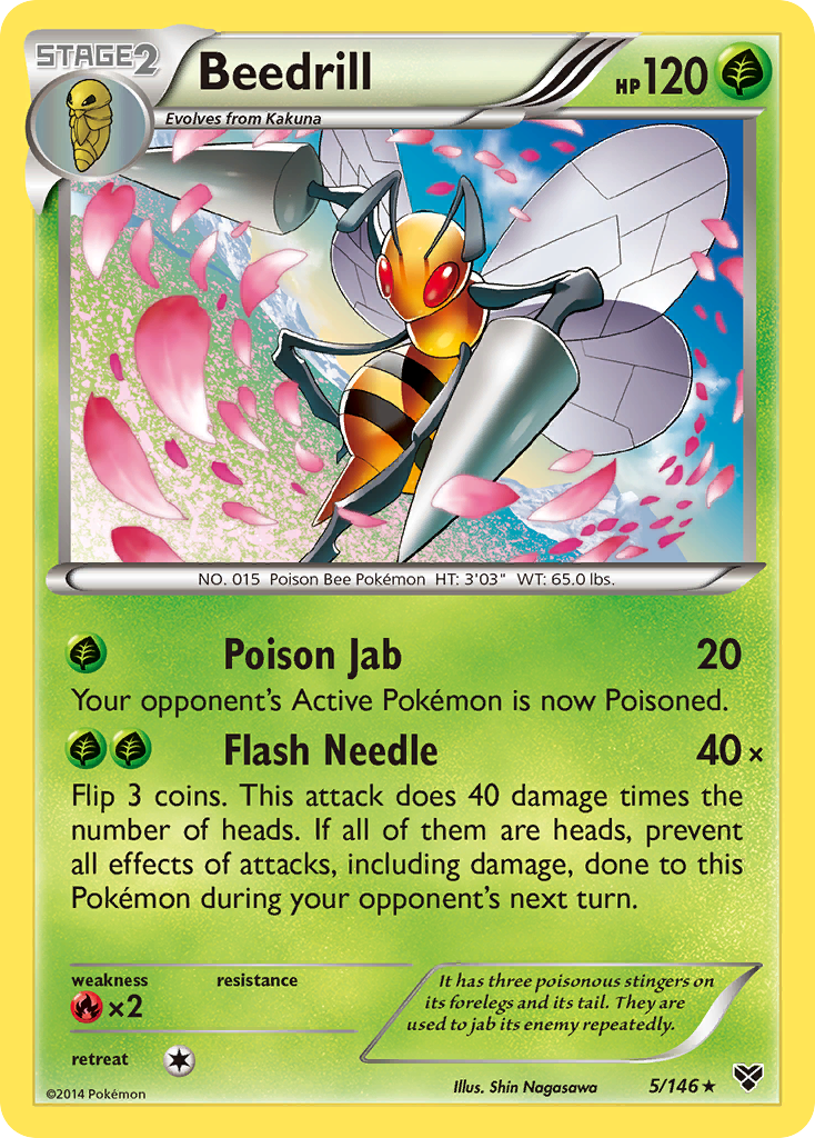 Beedrill (5/146) [XY: Base Set] | Gear Gaming Fayetteville