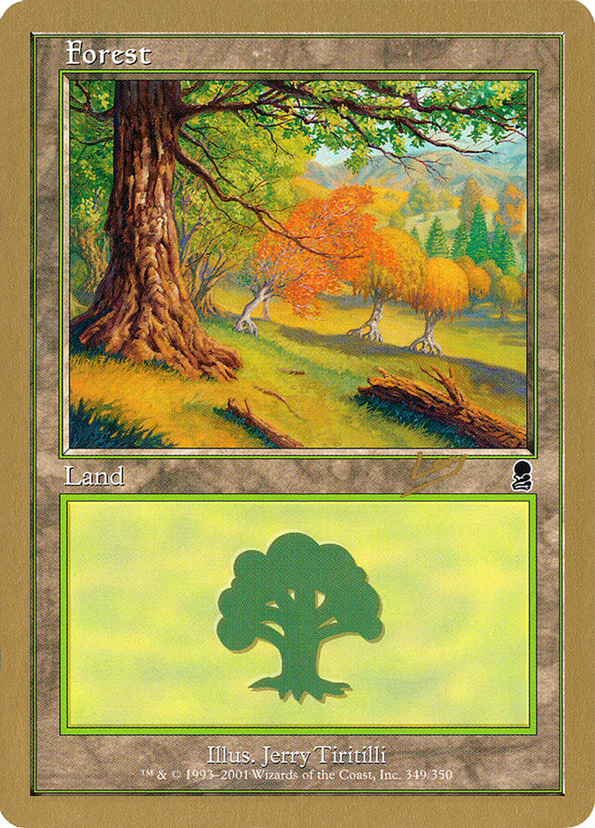Forest (349) (Raphael Levy) [World Championship Decks 2002] | Gear Gaming Fayetteville