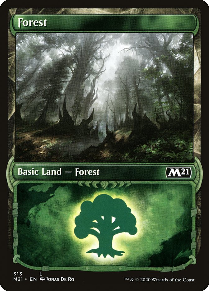 Forest (313) (Showcase) [Core Set 2021] | Gear Gaming Fayetteville