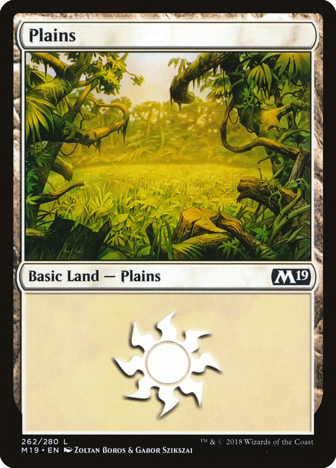 Plains (262) [Core Set 2019] | Gear Gaming Fayetteville