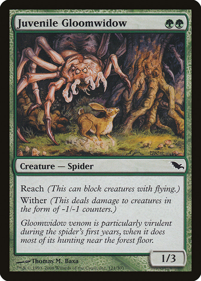 Juvenile Gloomwidow [Shadowmoor] | Gear Gaming Fayetteville