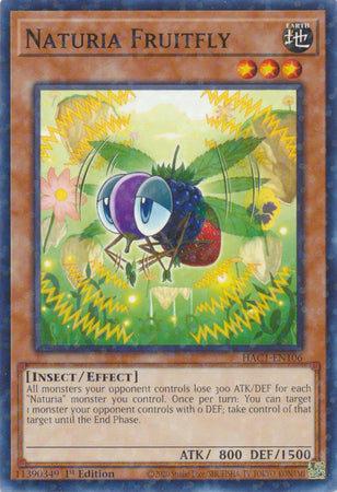 Naturia Fruitfly (Duel Terminal) [HAC1-EN106] Common | Gear Gaming Fayetteville