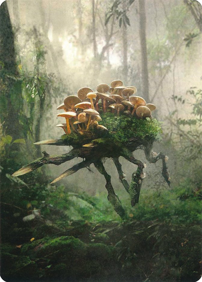 Saproling // Saproling Double-Sided Token [Unstable Tokens] | Gear Gaming Fayetteville