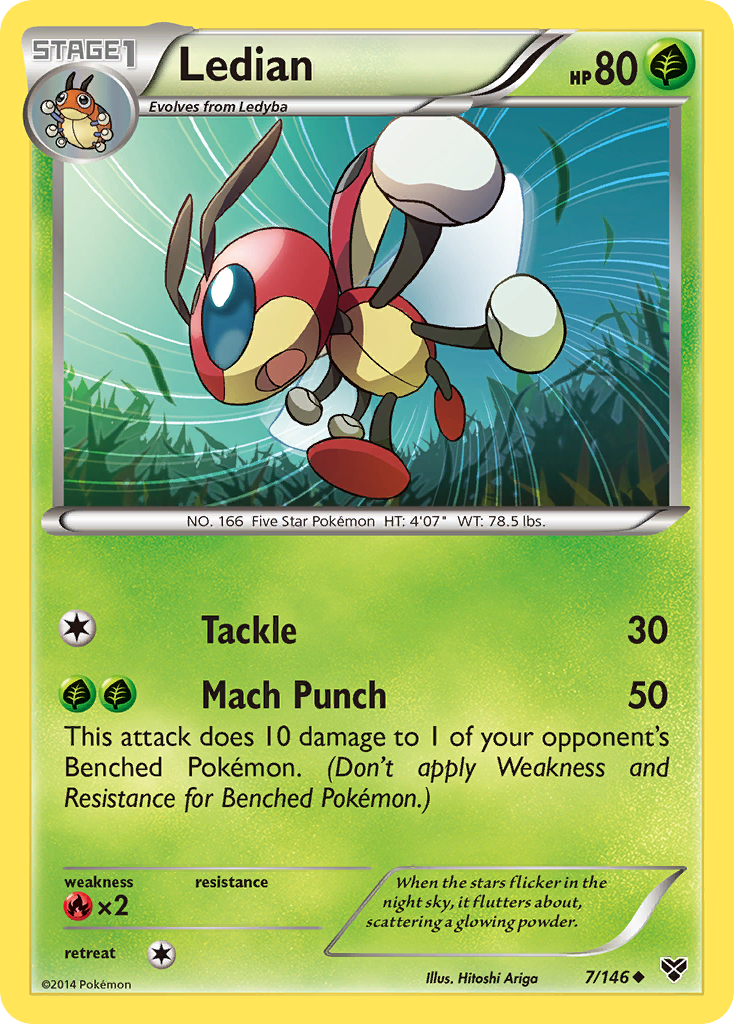 Ledian (7/146) [XY: Base Set] | Gear Gaming Fayetteville