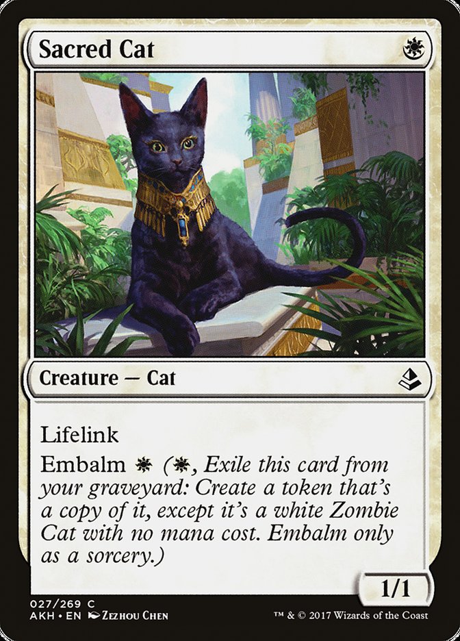 Sacred Cat [Amonkhet] | Gear Gaming Fayetteville