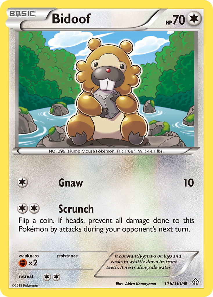 Bidoof (116/160) [XY: Primal Clash] | Gear Gaming Fayetteville