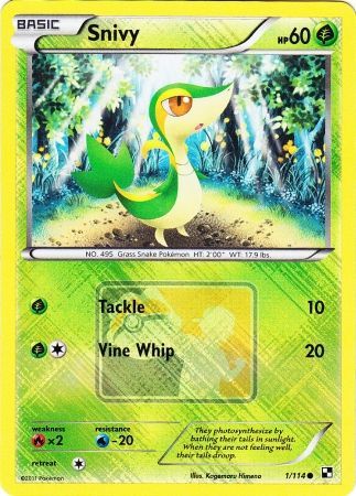 Snivy (1/114) (League Promo) [Black & White: Base Set] | Gear Gaming Fayetteville