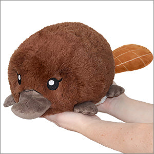 Mini Squishable Baby Platypus | Gear Gaming Fayetteville