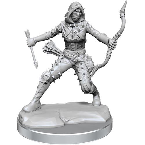 Dungeons & Dragons Frameworks: Human Rogue Female | Gear Gaming Fayetteville
